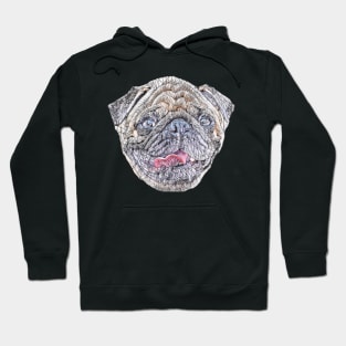 Pug Hoodie